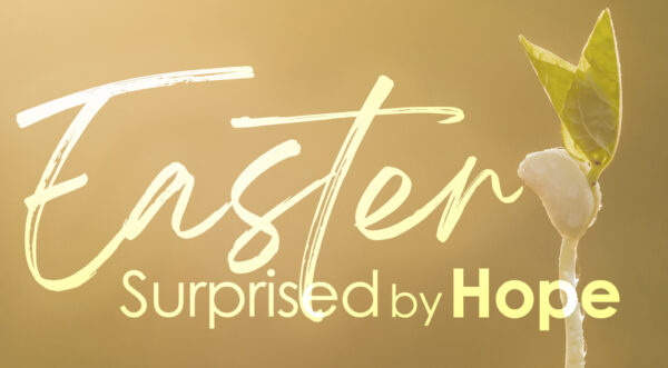 Easter, Surprised by Hope Image