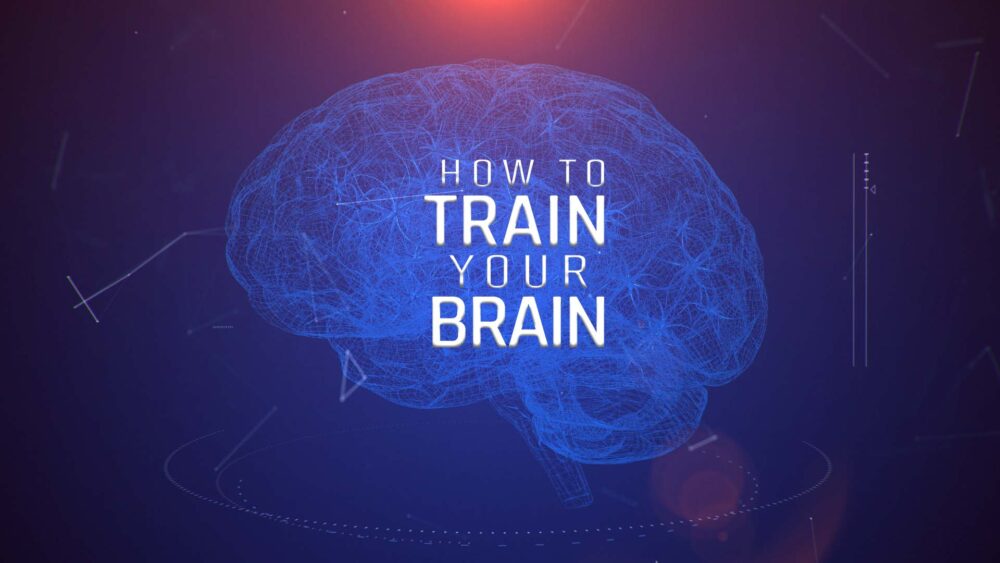 How To Train Your Brain