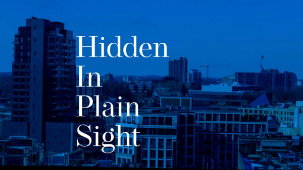 Hidden In Plain Sight Image