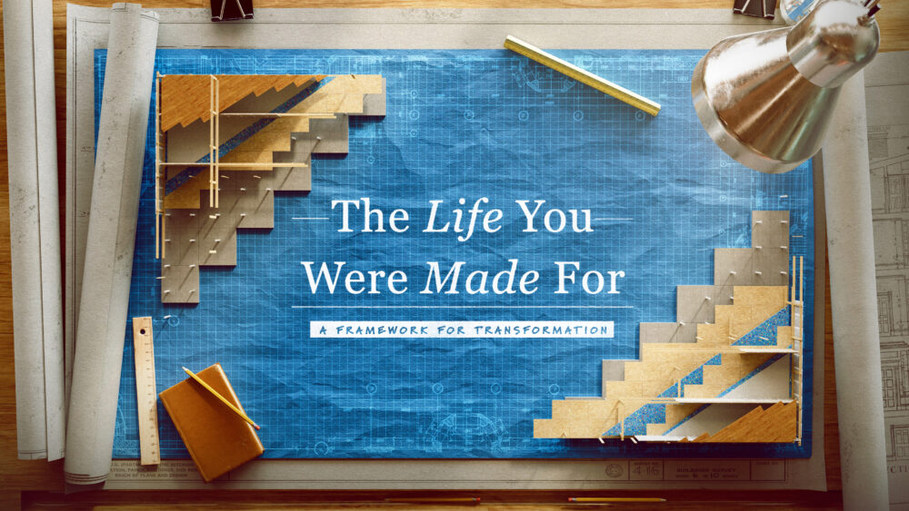 The Life You Were Made For